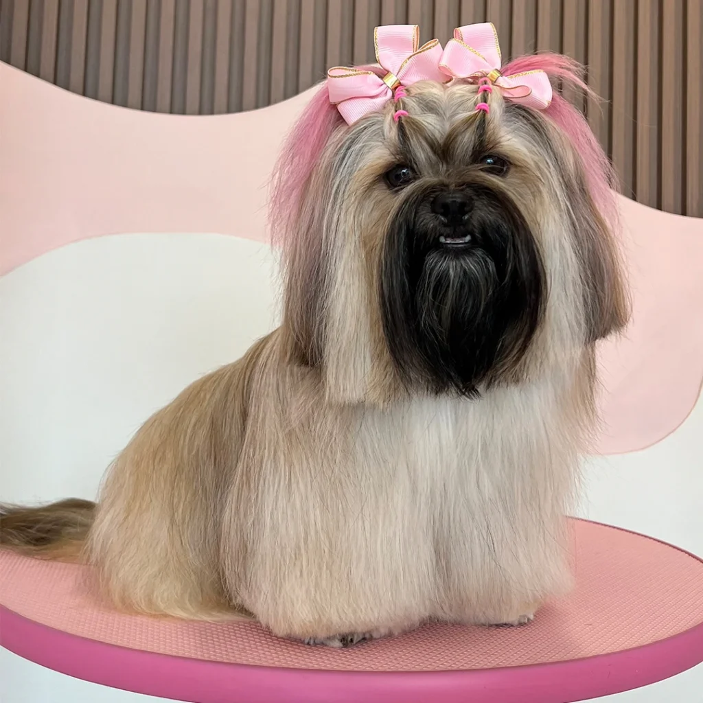 Perrita estilizada con lazos rosados en Rossé Spa
